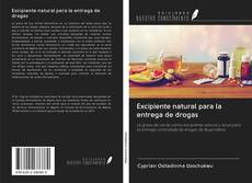 Bookcover of Excipiente natural para la entrega de drogas