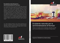 Bookcover of Eccipiente naturale per la somministrazione di farmaci