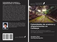 Обложка Calamidades de arsénico y oligoelementos en Camboya