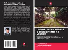 Обложка Calamidades de arsénico e oligoelementos no Camboja