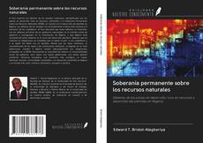 Buchcover von Soberanía permanente sobre los recursos naturales