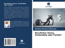Bookcover of Beruflicher Stress, Verbündete oder Feinde?