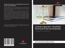 Bookcover of Judicial Inspection, Simplified Technical Proof and Expertise