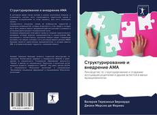 Buchcover von Структурирование и внедрение АМА