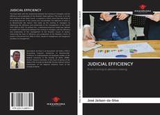 Bookcover of JUDICIAL EFFICIENCY