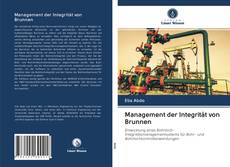 Management der Integrität von Brunnen kitap kapağı