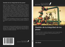 Gestión de la integridad de los pozos的封面