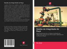 Buchcover von Gestão da Integridade do Poço