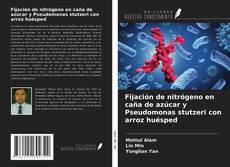 Bookcover of Fijación de nitrógeno en caña de azúcar y Pseudomonas stutzeri con arroz huésped