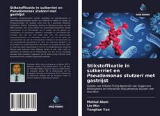 Copertina di Stikstoffixatie in suikerriet en Pseudomonas stutzeri met gastrijst