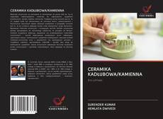 Portada del libro de CERAMIKA KADŁUBOWA/KAMIENNA