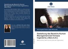 Buchcover von Gestaltung des Bereichs Human Management bei Firmeza Ingeniería y Obra S.A.S.
