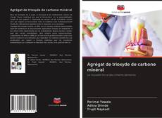 Bookcover of Agrégat de trioxyde de carbone minéral