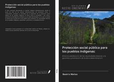 Bookcover of Protección social pública para los pueblos indígenas: