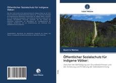 Capa do livro de Öffentlicher Sozialschutz für indigene Völker: 