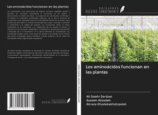 Los aminoácidos funcionan en las plantas kitap kapağı