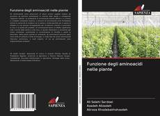 Bookcover of Funzione degli aminoacidi nelle piante