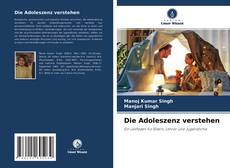 Capa do livro de Die Adoleszenz verstehen 