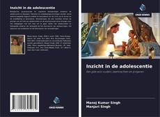 Bookcover of Inzicht in de adolescentie