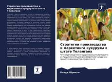 Bookcover of Стратегии производства и маркетинга кукурузы в штате Телангана