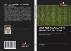 Bookcover of VADO ALLE GRADINATE PER PROVARE PIÙ EMOZIONE