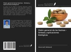 Capa do livro de Visión general de las tiazinas - Síntesis y aplicaciones biológicas 