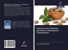 Bookcover of Overzicht van Thiazines - Synthese en Biologische Toepassingen