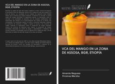 Bookcover of VCA DEL MANGO EN LA ZONA DE ASSOSA, BGR, ETIOPÍA
