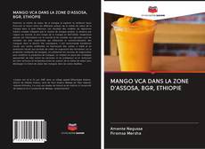Portada del libro de MANGO VCA DANS LA ZONE D'ASSOSA, BGR, ETHIOPIE