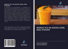 Bookcover of MANGO VCA IN ASSOSA ZONE, BGR, ETHIOPIË