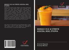 Portada del libro de MANGO VCA W STREFIE ASSOSA, BGR, ETIOPIA