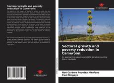 Buchcover von Sectoral growth and poverty reduction in Cameroon: