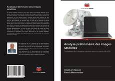 Buchcover von Analyse préliminaire des images satellites