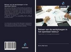 Couverture de Beheer van de werkploegen in het openbaar bestuur