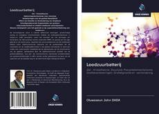 Bookcover of Loodzuurbatterij