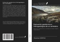 Bookcover of Evaluación geotécnica e hidrogeológica de un vertedero