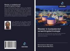 Bookcover of Meester in koolwaterstof verwerkingstechnologie