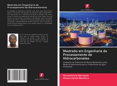 Bookcover of Mestrado em Engenharia de Processamento de Hidrocarbonetos