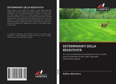 DETERMINANTI DELLA REDDITIVITÀ kitap kapağı