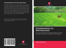 DETERMINANTES DA RENTABILIDADE kitap kapağı