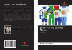 Buchcover von Southern Cone Common Market
