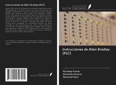 Instrucciones de Allen Bradley (PLC) kitap kapağı