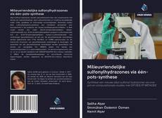 Buchcover von Milieuvriendelijke sulfonylhydrazones via één-pots-synthese