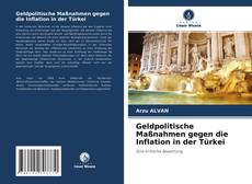 Geldpolitische Maßnahmen gegen die Inflation in der Türkei kitap kapağı