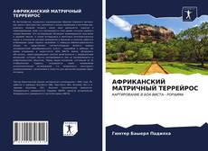 Bookcover of АФРИКАНСКИЙ МАТРИЧНЫЙ ТЕРРЕЙРОС