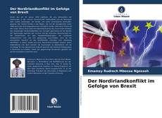 Der Nordirlandkonflikt im Gefolge von Brexit kitap kapağı