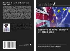 El conflicto de Irlanda del Norte tras el caso Brexit kitap kapağı