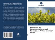 Bookcover of Adoptionen von Kamelpastoralismus und dynamischen Kräften unter den Borana