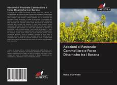 Bookcover of Adozioni di Pastorale Cammelliera e Forze Dinamiche tra i Borana