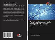 Funzionalizzazione delle nanoparticelle ibride kitap kapağı